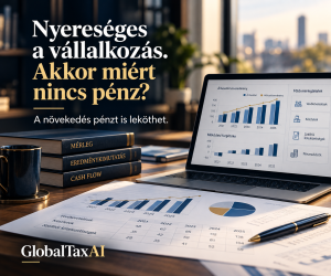 Nyereséges vállalkozás és forgótőke – többéves pénzügyi elemzés, GlobalTaxAI
