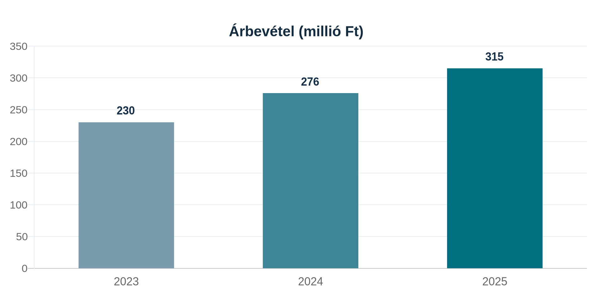 A szemléltető vállalkozás árbevétele 2023-ban 230, 2024-ben 276, 2025-ben 315 millió forint.